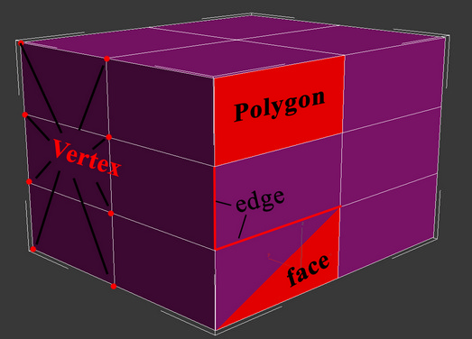 Polygon model